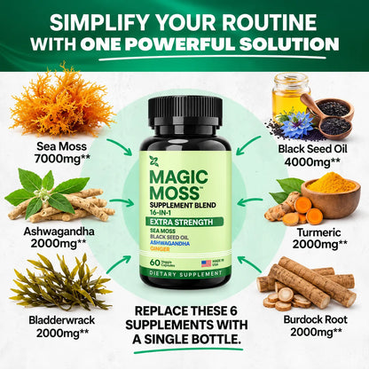 Magic Moss™ – 16-in-1 Irish Sea Moss Wellness Formula
